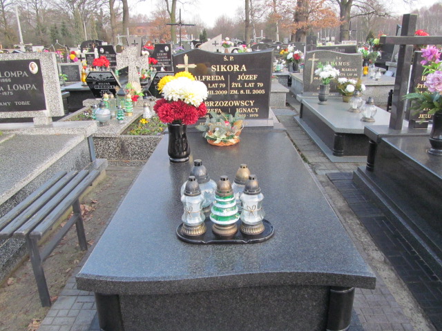 Grób Alfreda Sikora