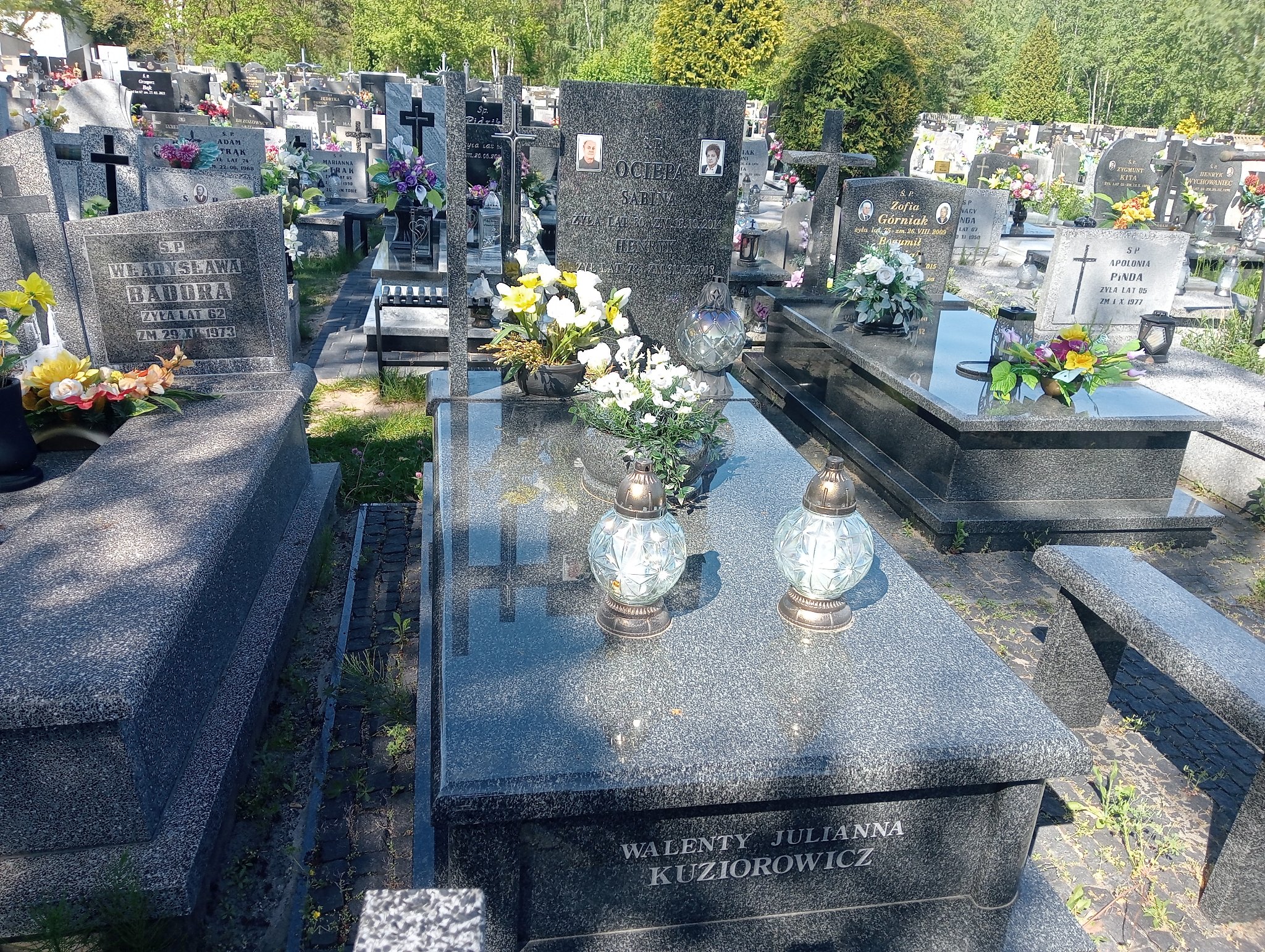 Grób Julia Kuziorowicz
