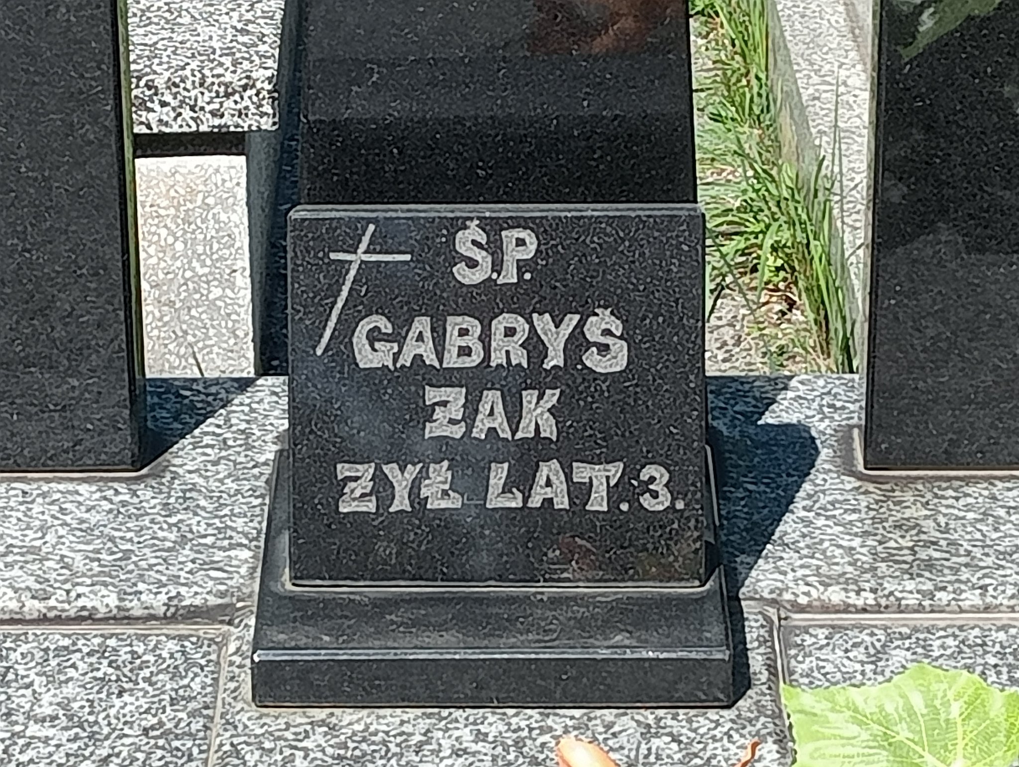  - Grobonet - kup kwiaty