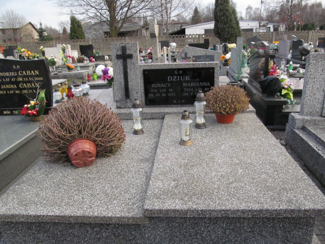 Grób Ignacy Dziuk